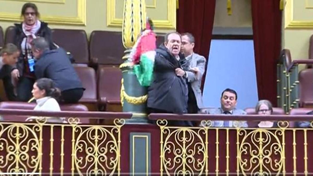 Interrumpen a gritos y con una bandera de Palestina a Albares mientras habla en el Congreso