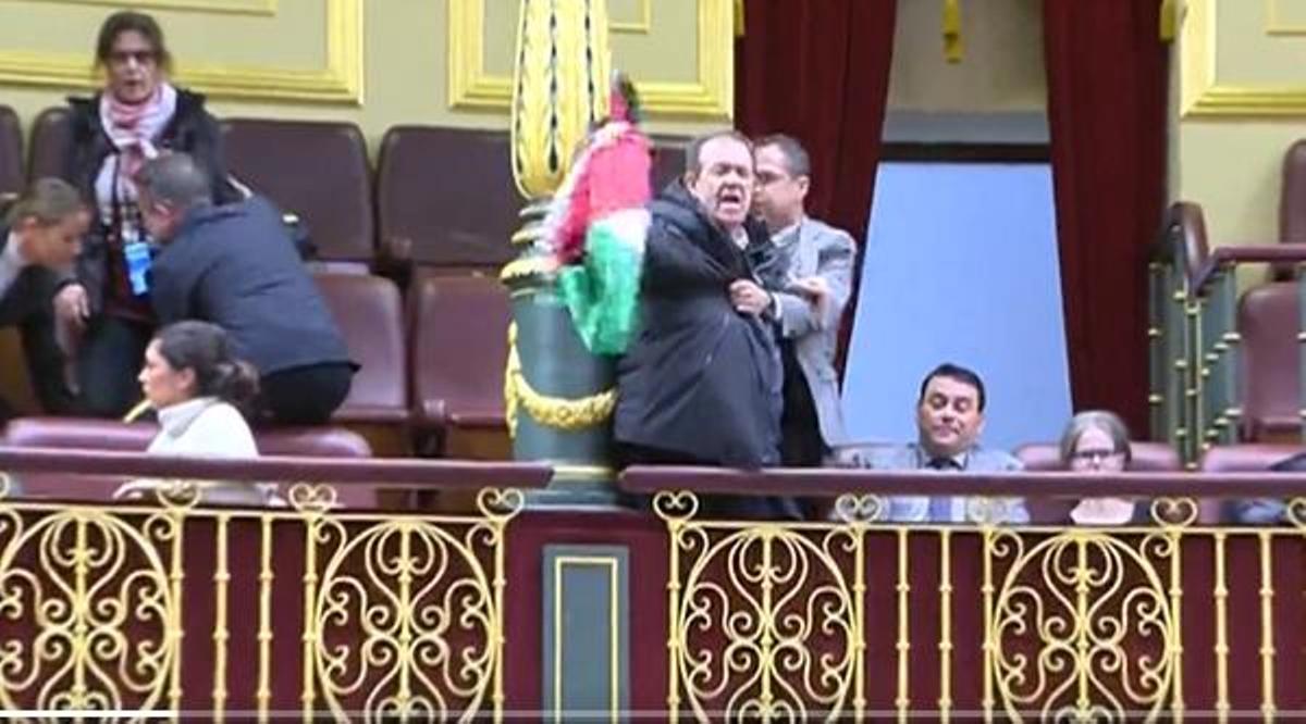 Interrumpen a gritos y con una bandera de Palestina a Albares mientras habla en el Congreso
