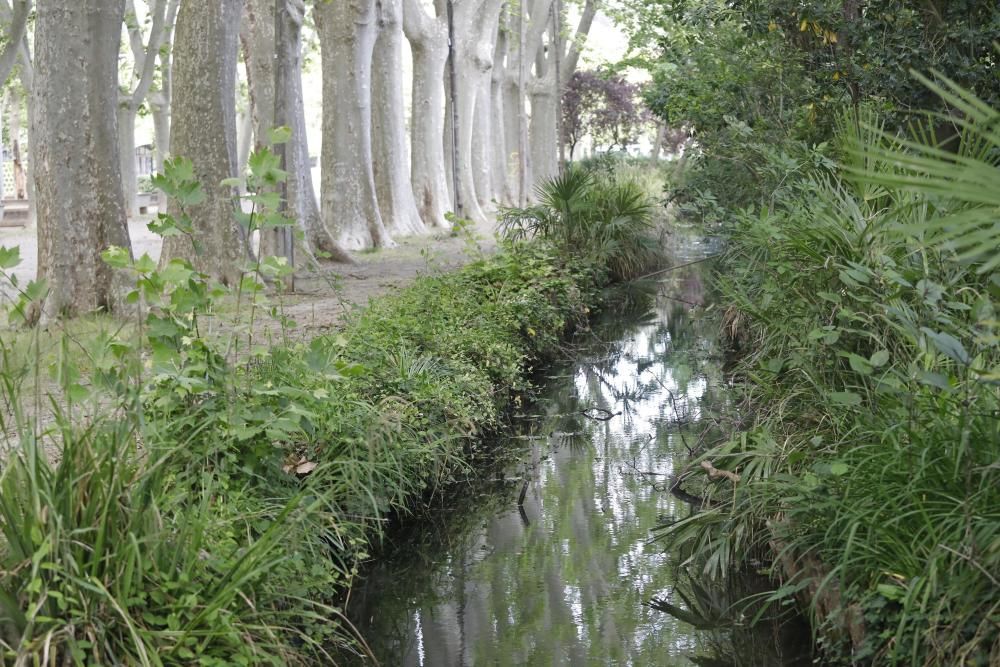 Canals de la Devesa