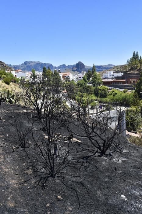 Vistas, hoy, de la zona del incendio de anoche ...