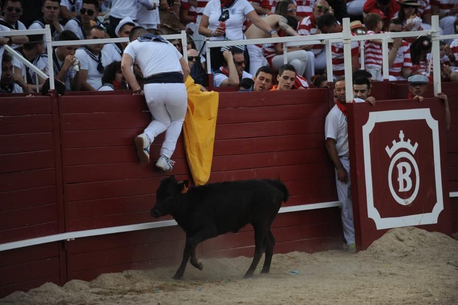 Becerrada, encierros y vaca de la sangría