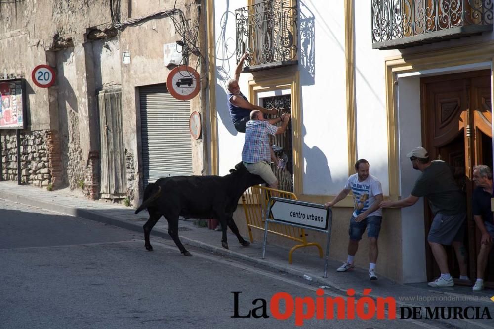 Cuarto encierro Fiestas de Moratalla