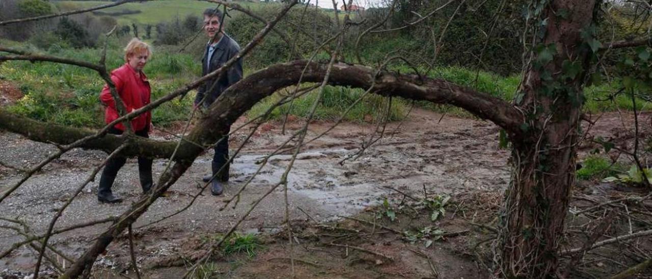 Mariano Margüello y su mujer, Covadonga Gutiérrez, tras un manzano muerto.