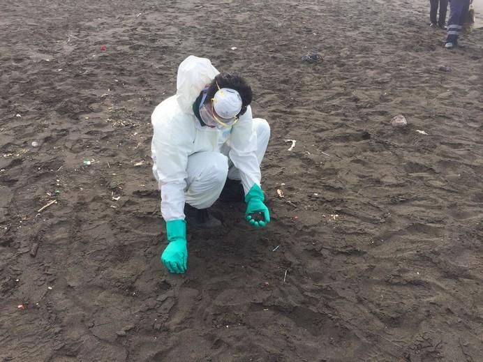 Recogida de restos de piche en la playa teldense de Palos