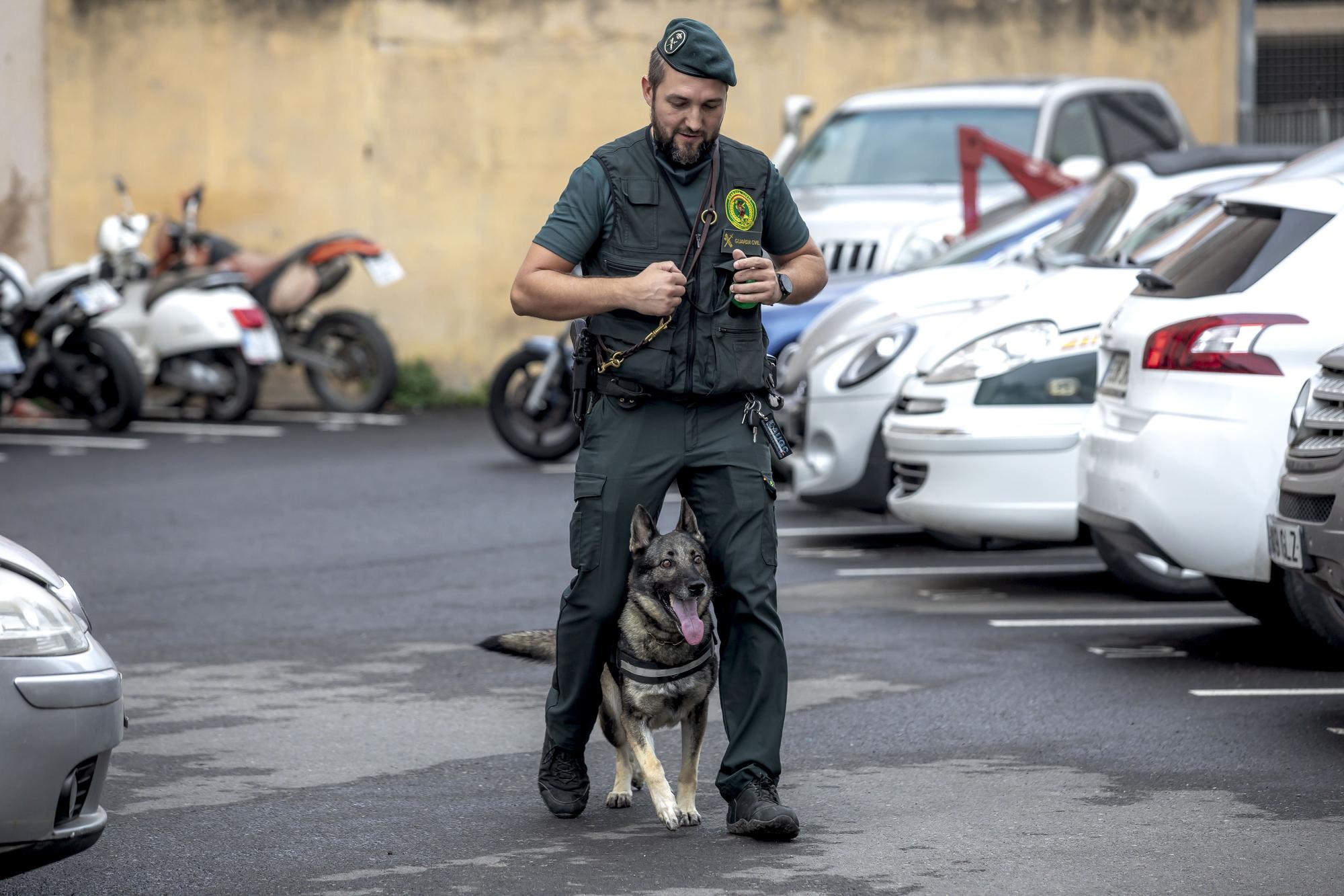 Unidad de Guías Caninos de la Guardia Civil