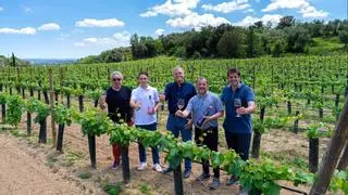 El Celler Sant Llop recupera el conreu de la vinya al Pla de l’Estany