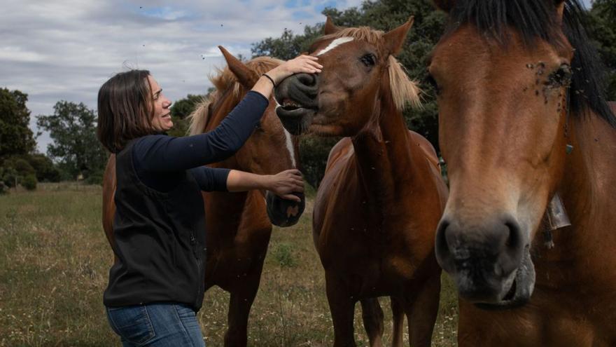 Tributo a las mujeres del medio rural