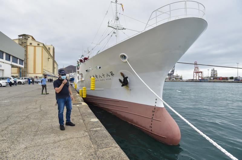 La flota pesquera japonesa, tradicional cliente del Puerto, amplía su presencia