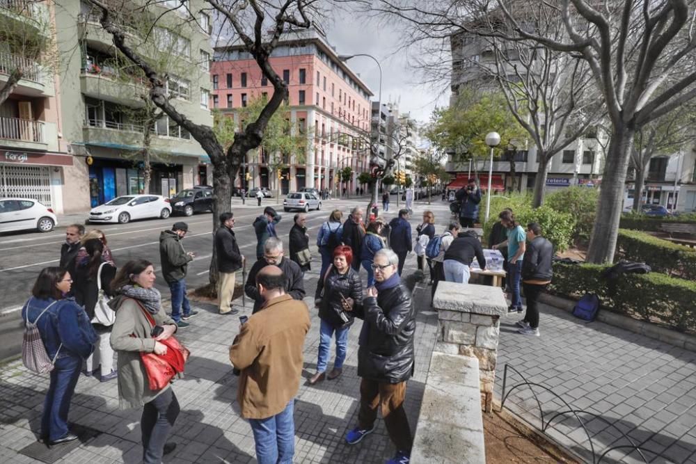 Referéndum monarquía o república en Palma