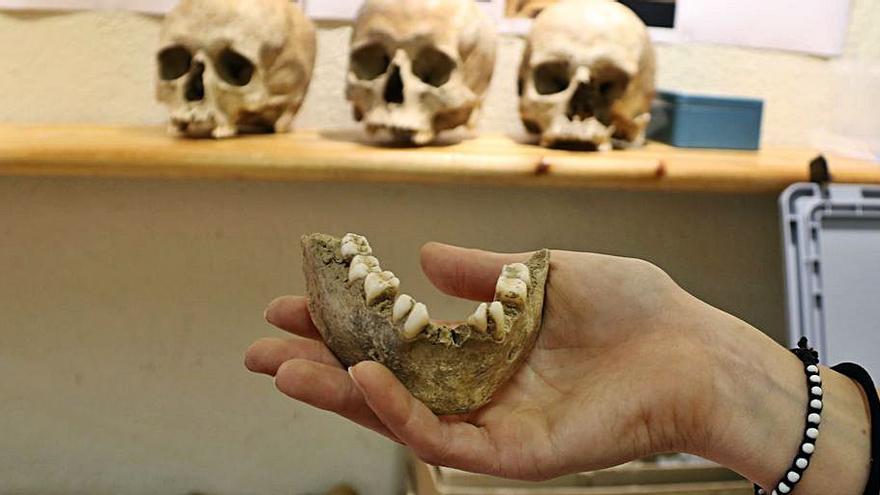Identifiquen restes de 50 individus prehistòrics al Roc de les Orenetes | ACN  