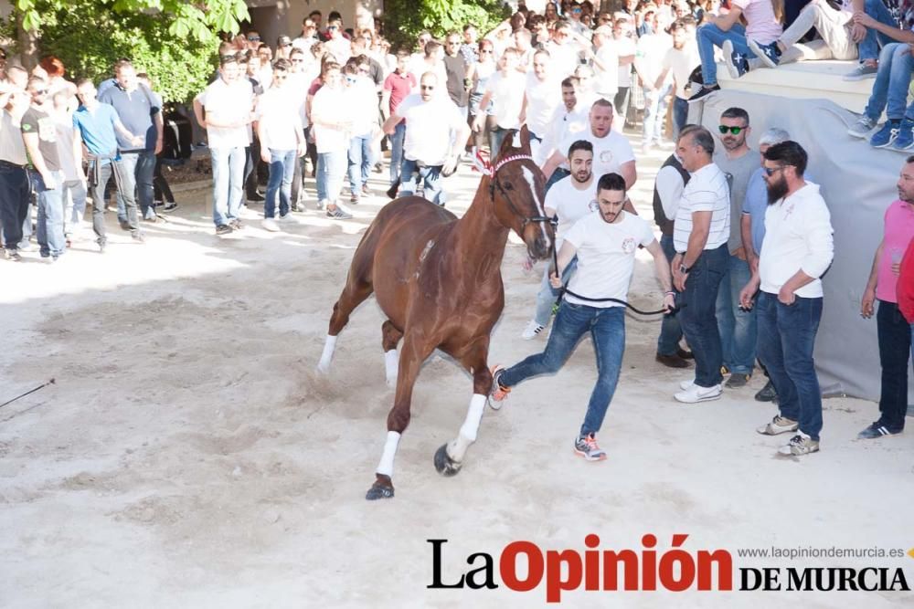 Día uno de mayo, entrada de caballos al Hoyo