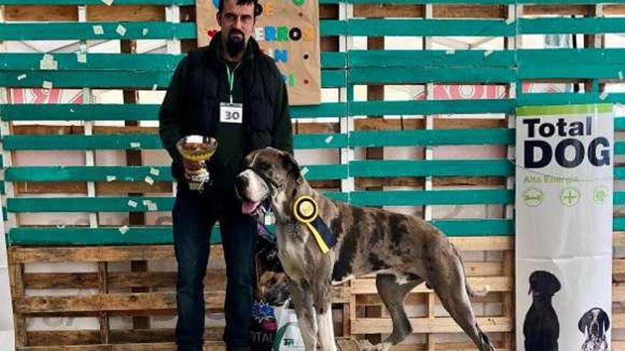 El perro &quot;Zeus&quot;, ganador en la categoría &quot;King Kong&quot;, con su dueño Carlos Gancedo.