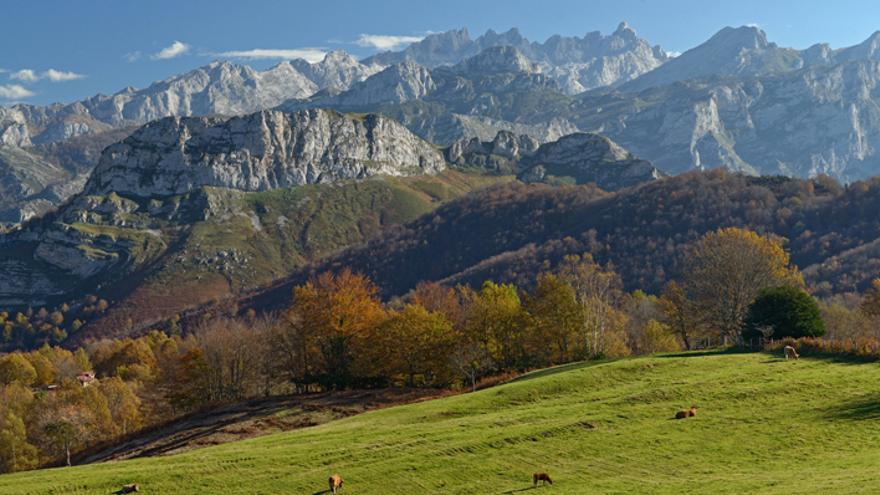 El bosque de Peloño, el Ecomuseo de San Juan de Beleño e impresionantes picos como el Tiatordos o el Pienzu: así es Ponga