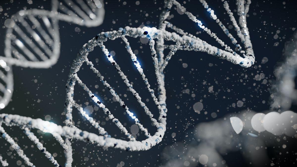 Los investigadores descubrieron que el ADN “Retrób” se puede emplear para editar con precisión células humanas cultivadas.