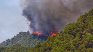 Labores de extinción del incendio de la Conca de Barberà y Anoia.