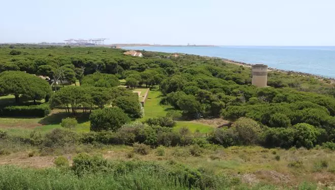 Delta del Llobregat: oposición a que la Generalitat duplique los espacios protegidos