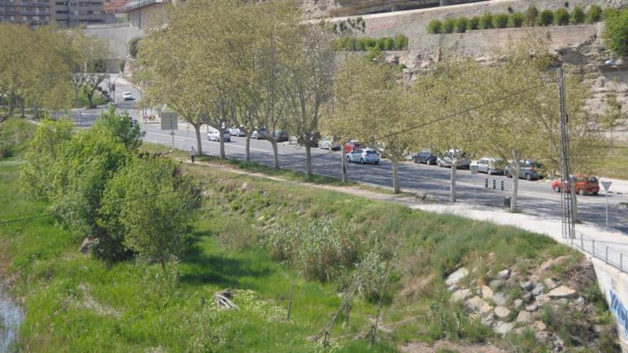 La plantada es farà al tram entre el Pont Vell i el de la Reforma