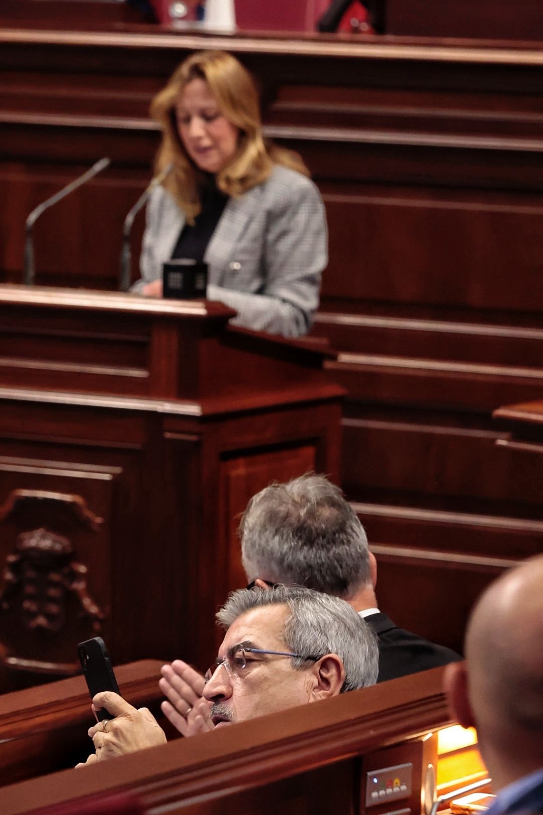 Pleno del Parlamento