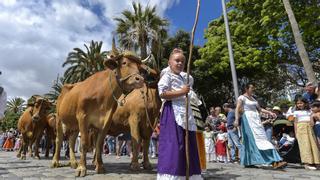 ¿Qué hacer el 'Día de Canarias' en Gran Canaria?