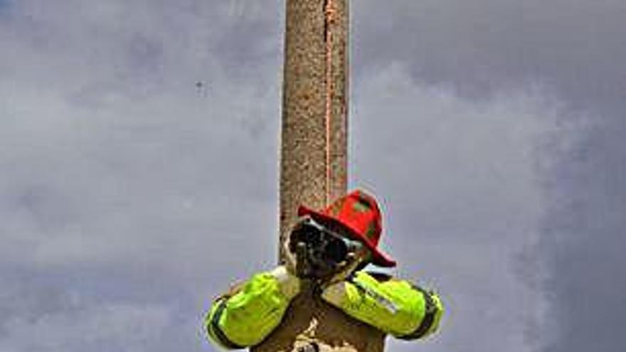 El observador del lobo.