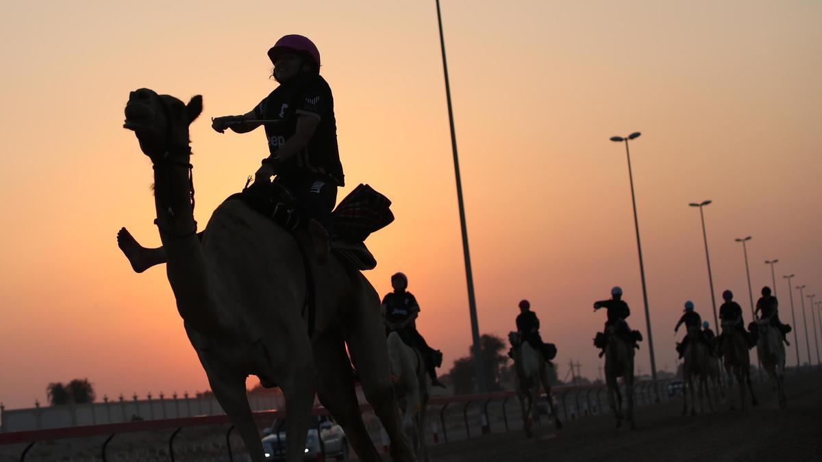 Carreras de camellos en Dubai.