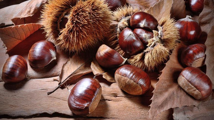 La castaña, reina de la despensa de otoño