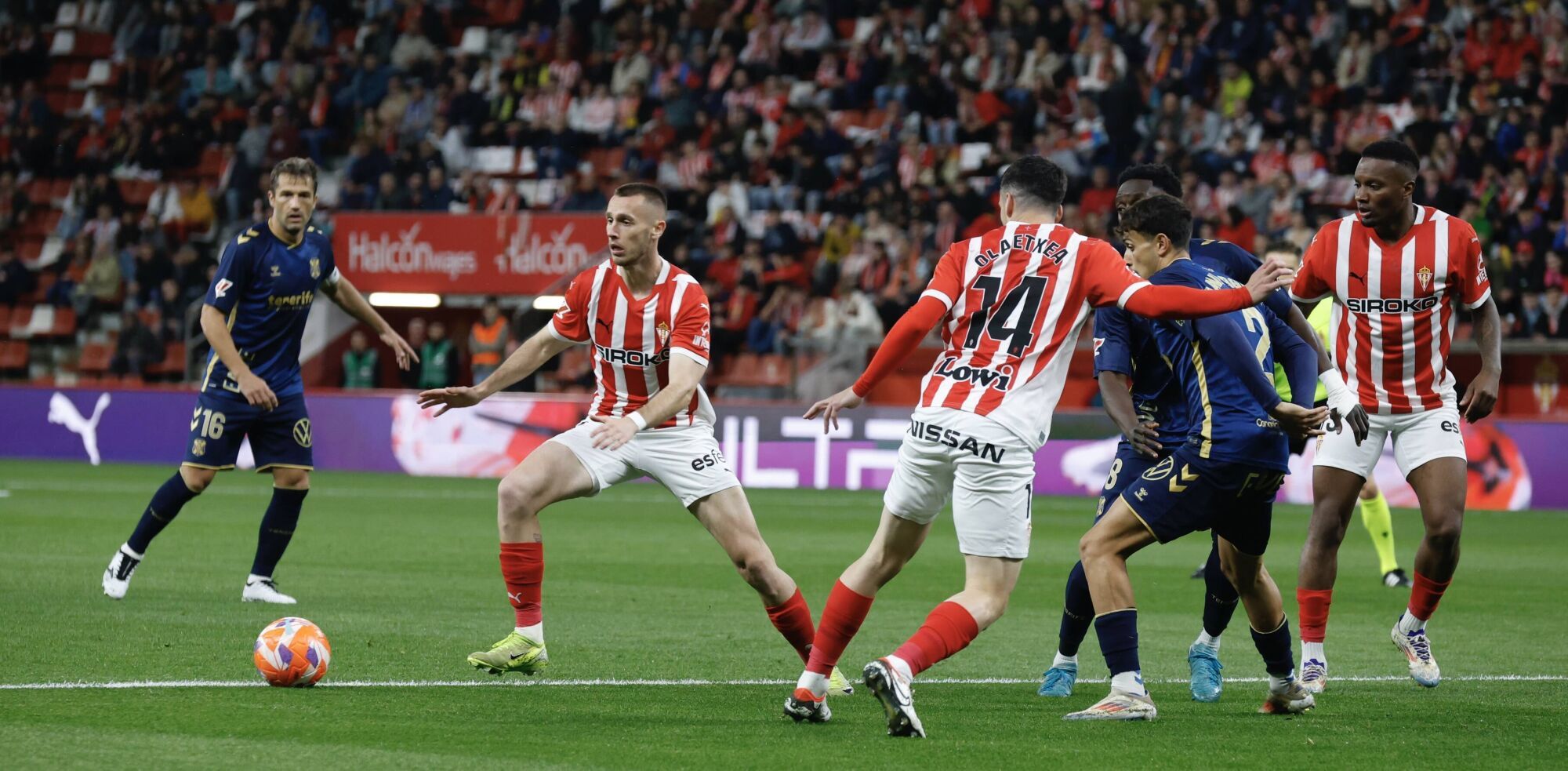 EN IMÁGENES: El Sporting - Tenerife disputado en El Molinón