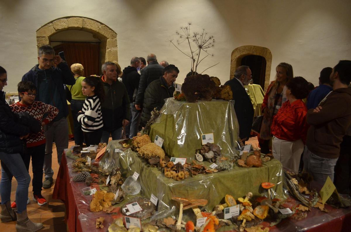 La Exposición Micológica de Benavente, en imágenes