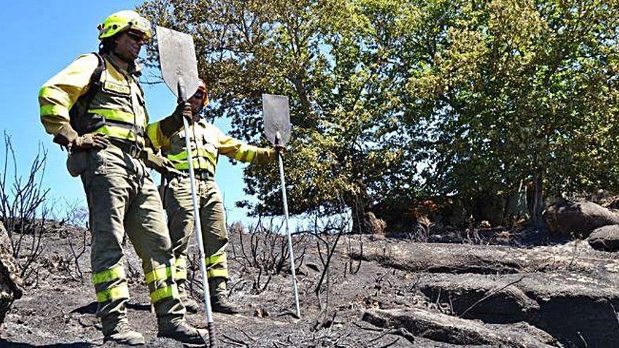 Integrantes de un retén participan en las labores de extinción de un incendio en Sanabria.