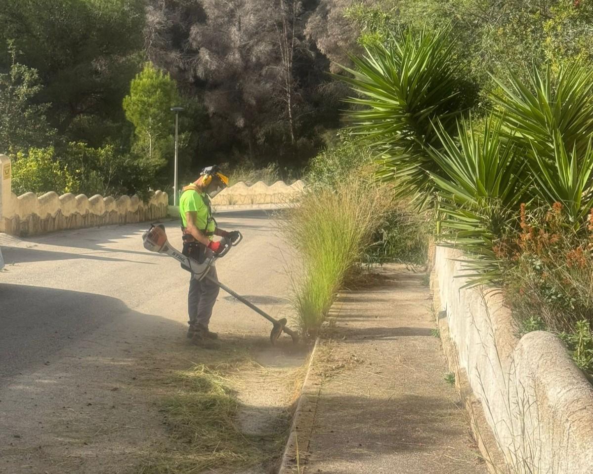 Los trabajos de desbroce en la urbanización de la Cumbre del Sol