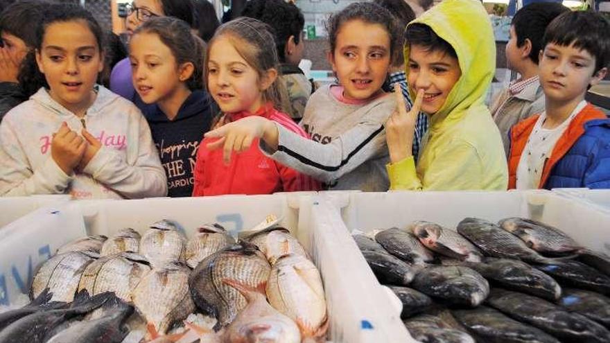 Una visita de escolares a la plaza de abastos meca.  // Muñiz