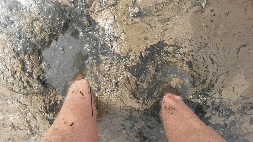 Lamentable estado de la isla Perdiguera del Mar Menor