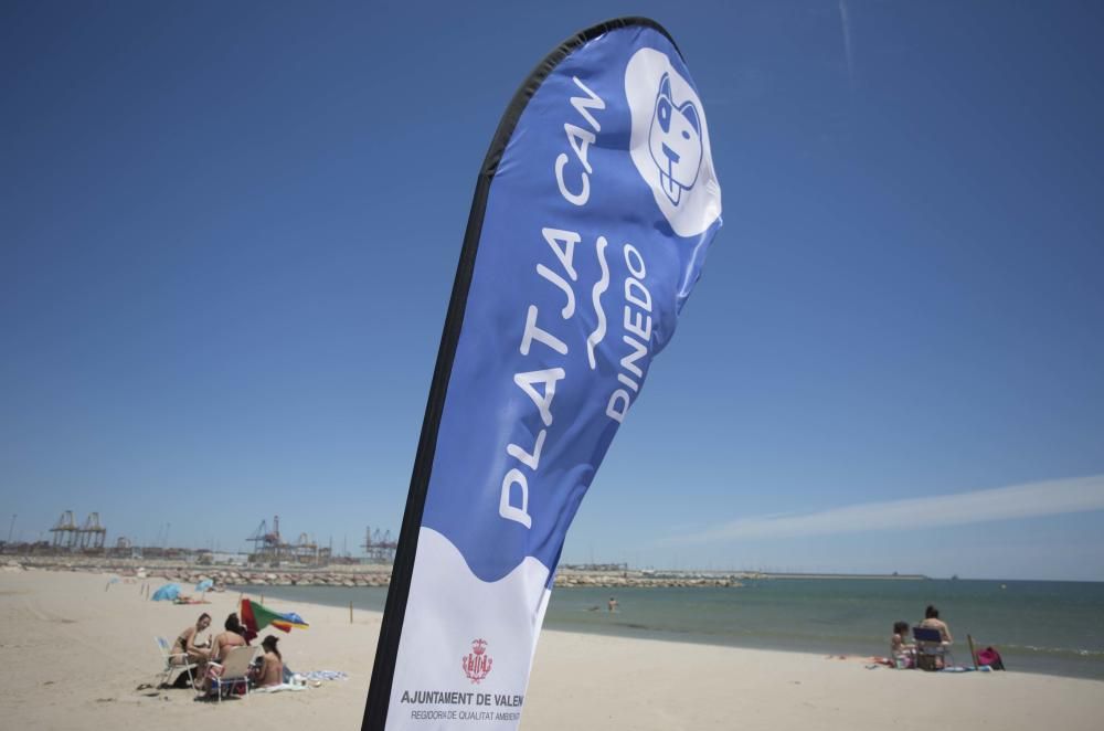 Primer día de la zona para perros en la playa de Pinedo