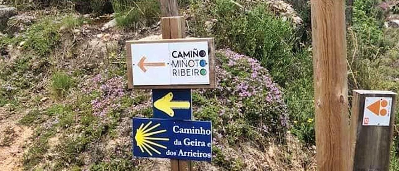 Poste con la doble señalización, la del Camiño Miñoto Ribeiro y Camiño da Geira e dos Arrieiros.