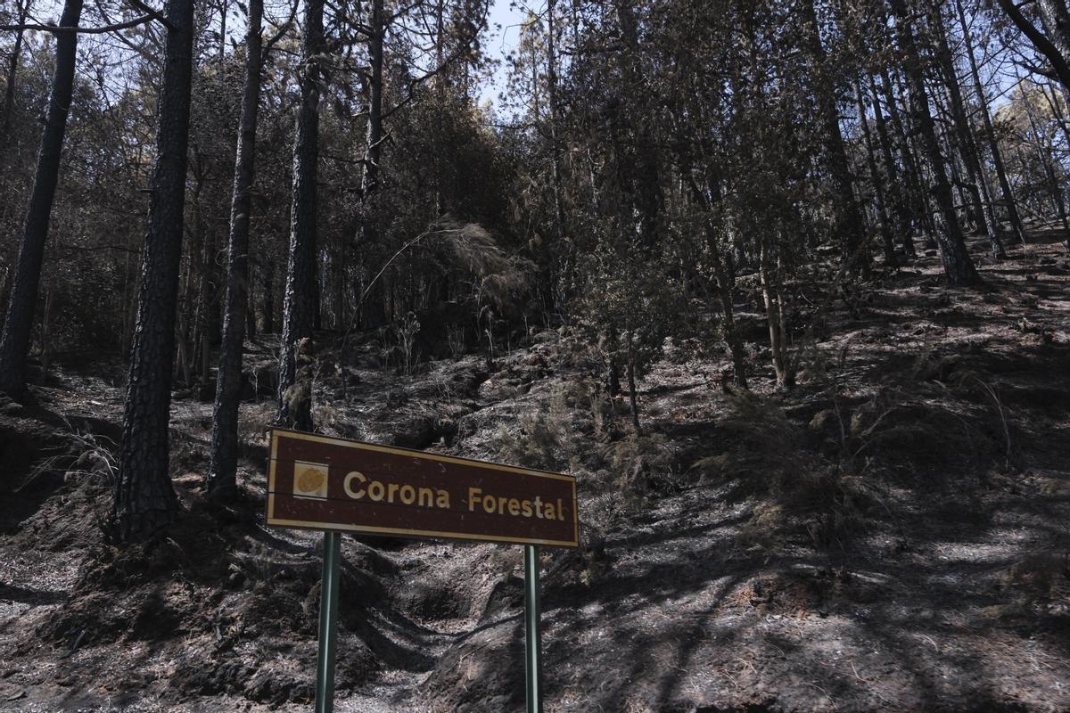 Estabilizado el incendio de Tenerife