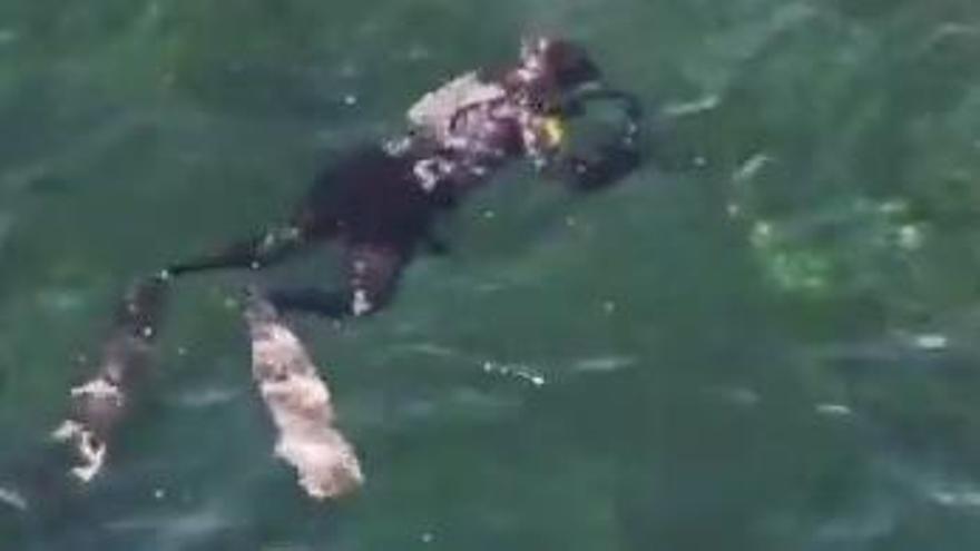 Pillado un pescador furtivo en Telde