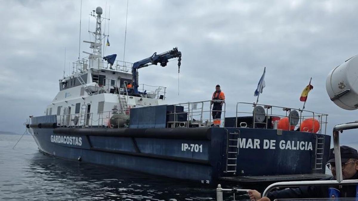 No hay tregua para las orcas: remolcan hasta Celeiro un velero zarandeado por tres ejemplares cerca de Viveiro