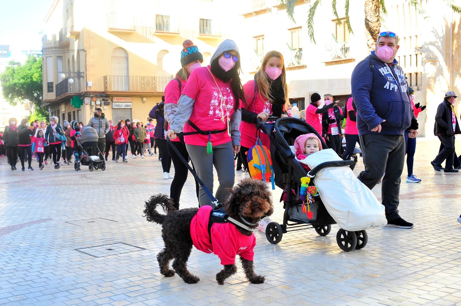 Marea rosa en Elche contra el cáncer de mama