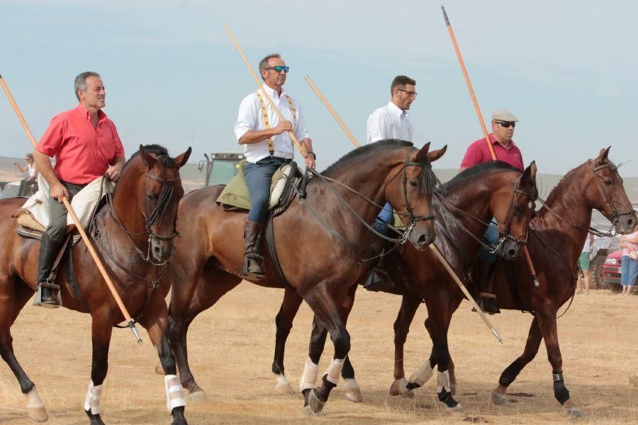 Fiestas en Zamora: Espantos en Carbajales