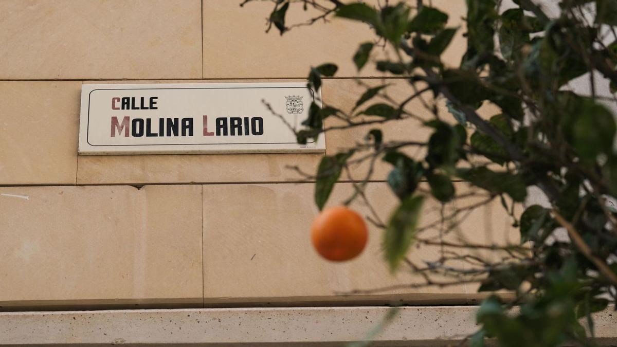 Placa descriptiva de la calle Molina Lario, en la capital malagueño, con un naranjo en primer plano.