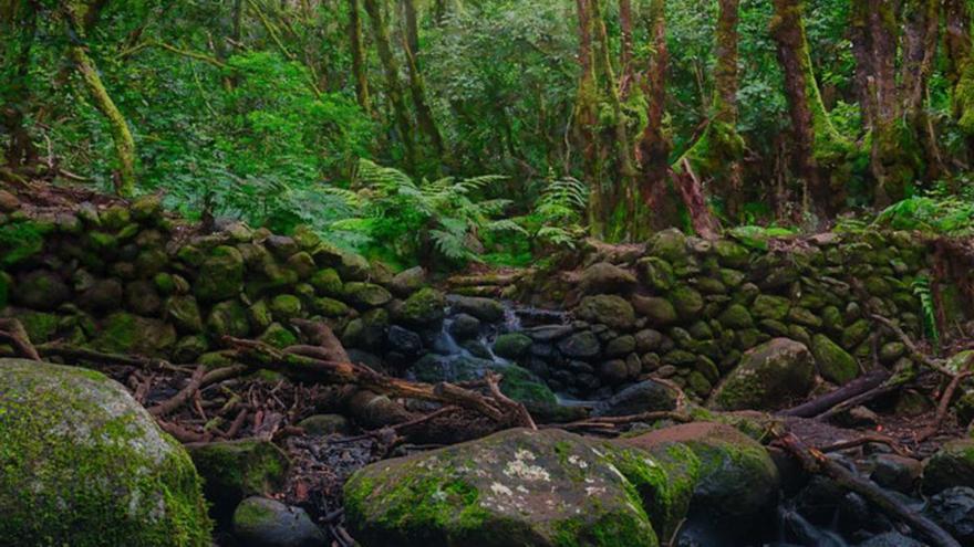 La Gomera protagoniza un reportaje de la colección oficial de la Unesco