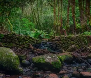 La Gomera protagoniza un reportaje de la colección oficial de la Unesco