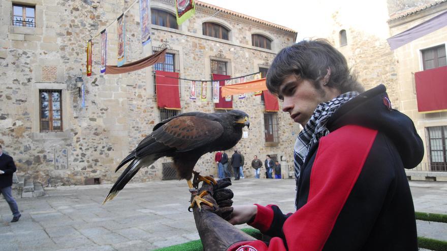 Las novedades del Mercado Medieval de Cáceres: degustaciones abiertas y el regreso de la cetrería