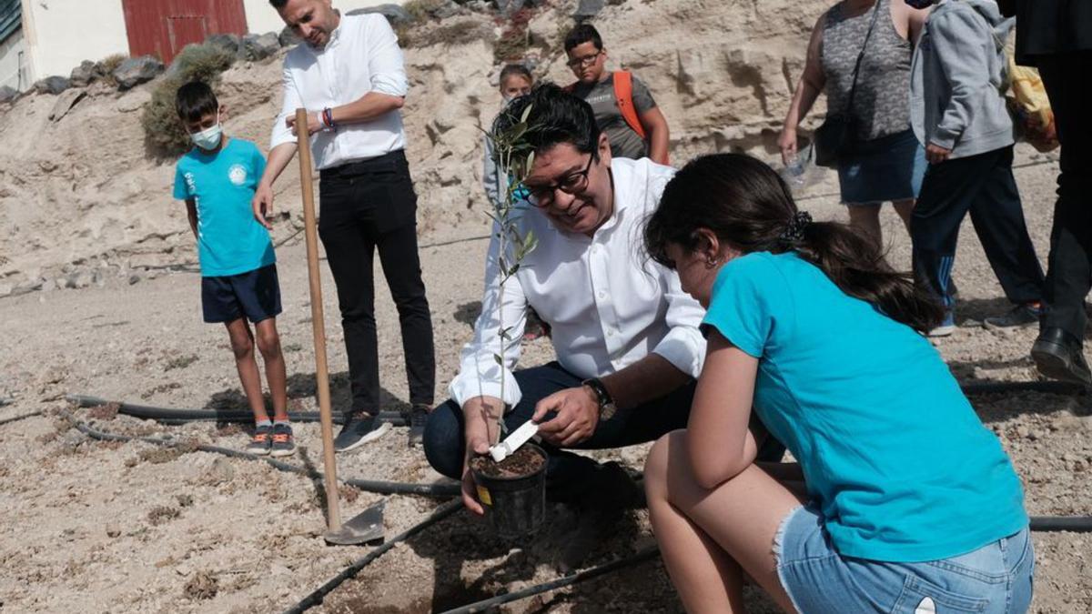 Pedro Martín planta un olivo en presencia de un alumno.