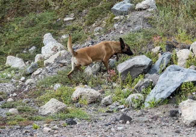 Reportaje a la Unidad Canina de la Policia ...