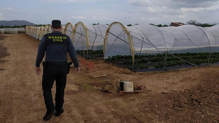 Ronda de vigilancia por una explotación agraria