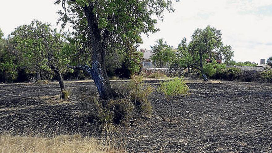 Señales de los incendios en Algaida.