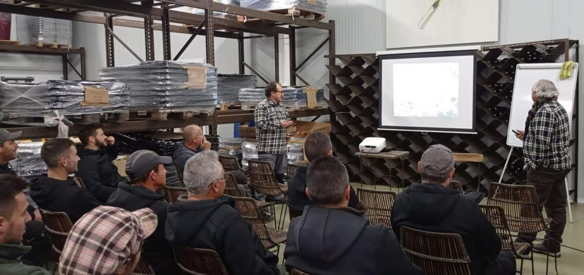 Formación de los trabajadores. | L.O.