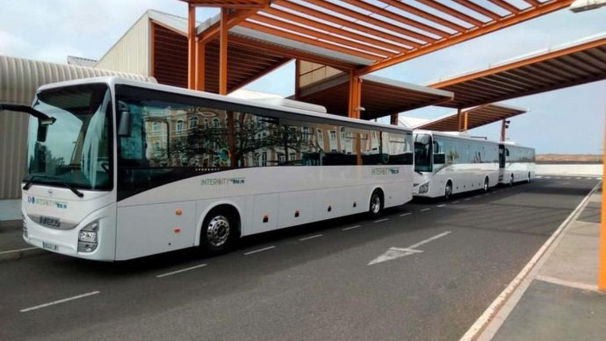 Guaguas del servicio interurbano de Lanzarote. | | CABILDO DE LANZAROTE