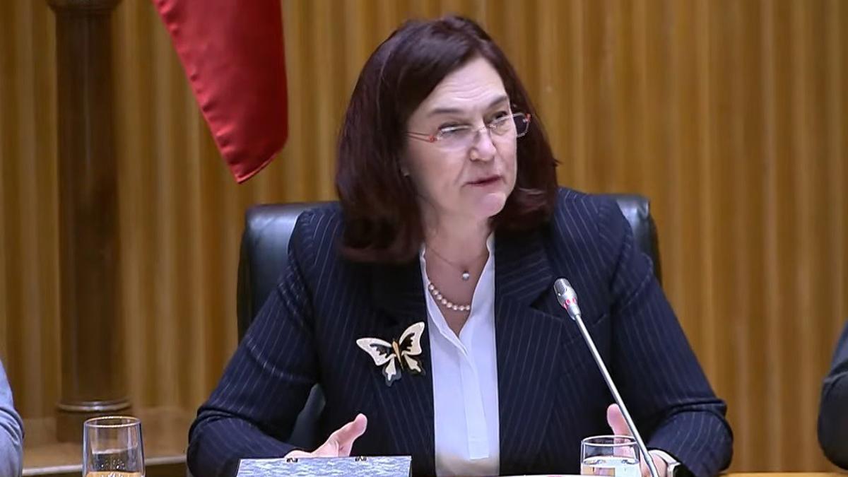 Archivo - La presidenta de la Comisión Nacional de los Mercados y la Competencia (CNMC), Cani Fernández